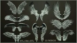 10 Wings 3D model