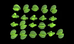 20 rings bueatiful light weight  3D print model