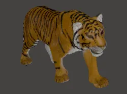 3D scanned Tiger
