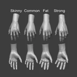 4 types of hand skinny common fat and strong 3D model