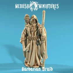 Barbarian Druid