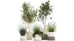 Beautiful bushes trees and grass in a flower pot for decoration  3D model
