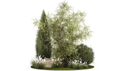 Beautiful plants for the garden of thuja pine bonsai bushes  3D model