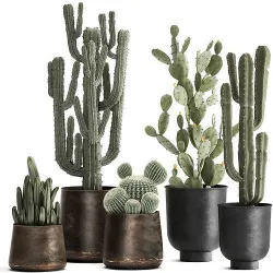 Cactus set in a rusty flowerpot for the interior 992 3D model