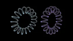 Circular Spring