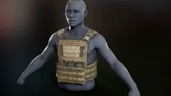 Crye Cage VEST Low-poly 3D model
