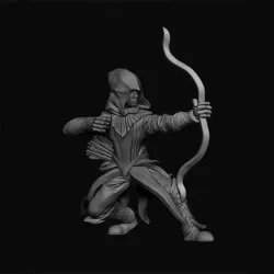 Dark Elf Assassin