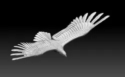 eagle in flight 3D print model