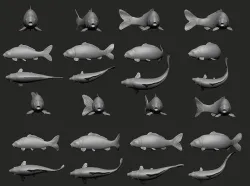 Fish Koi set 7 poses 3d models 3D print model