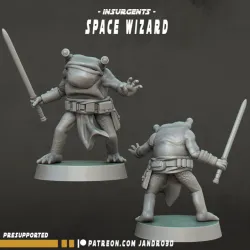 Frog - Space Wizard