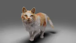Fur Cat Calico V02 Rigged and Animated Low-poly 3D model