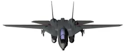Grumman F-14D Tomcat