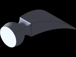 head