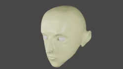 Head