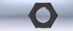 Hex Nut