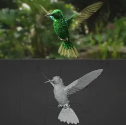 Hummingbird  Low-poly 3D model