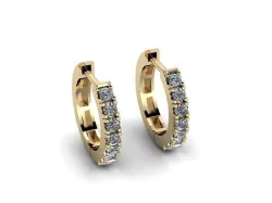 Jewelry Earrings 3D print model