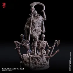Kaida, Mistress Of The Dead (Dark Elf Warlock)