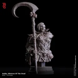 Kaida, Mistress Of The Dead (Dark Elf Warlock) - Bust