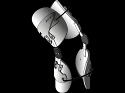 Knee Brace