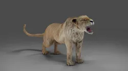 Lioness Rigged and Animation in Blender Unity Low-poly 3D model
