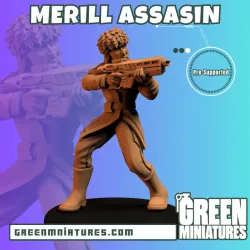 Merill Assasin- Cyberpunk