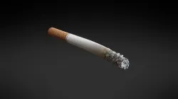 PBR Generic Cigarette Burning  Low-poly 3D model