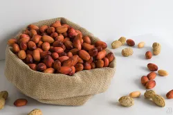 Peanut 006 3D model