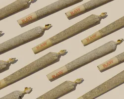 Photoscanned Pre-Roll Joint 3D Model Cannabis 3D model