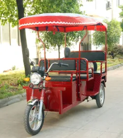 PROJECT 1 E-CAR