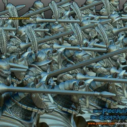 Spanish Imperial Army
