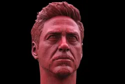 Tony Stark-Robert Downey JR Head  3D print model