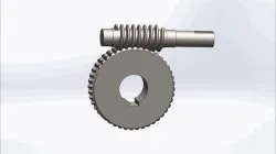Worm Gear Assembly