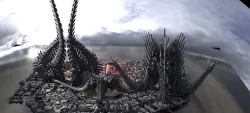 7 Dragon claw Tower Sci fi bone designs 3D 3D model
