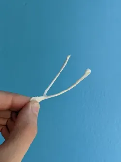 Anatomically-correct wishbone for vegan Thanksgiving