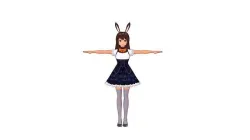 Anime Bunny Girl 3D model