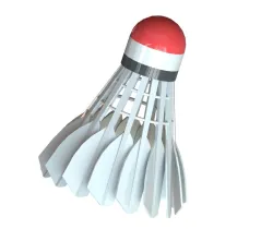 Badminton Ball
