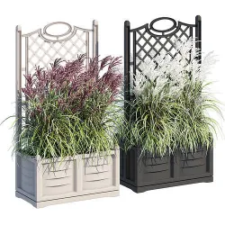 Bama with trellis 3D model