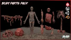 Body Parts prop pack - low poly 3D Models Low-poly 3D model