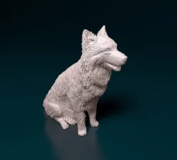 Border Collie 3D print model