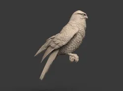 falcon  3D print model