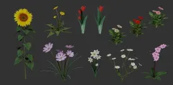Flowers Pack Low-poly 3D model