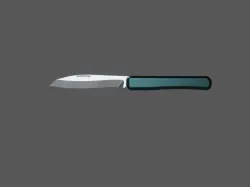 Folding Pocket Knife