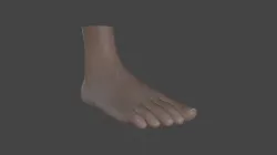 FOOT-001 Rigged Right Foot Low-poly 3D model