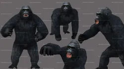 Gorilla Animated 3D model