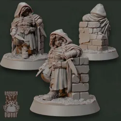 Halfling rogue
