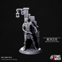 Human Rogue - PRESUPPORTED