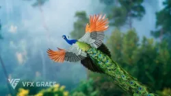 Indian Peafowl Animated VFX Grace 3D model