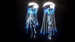 Jellyfishes 3D model