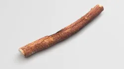 Licorice Root 3D model